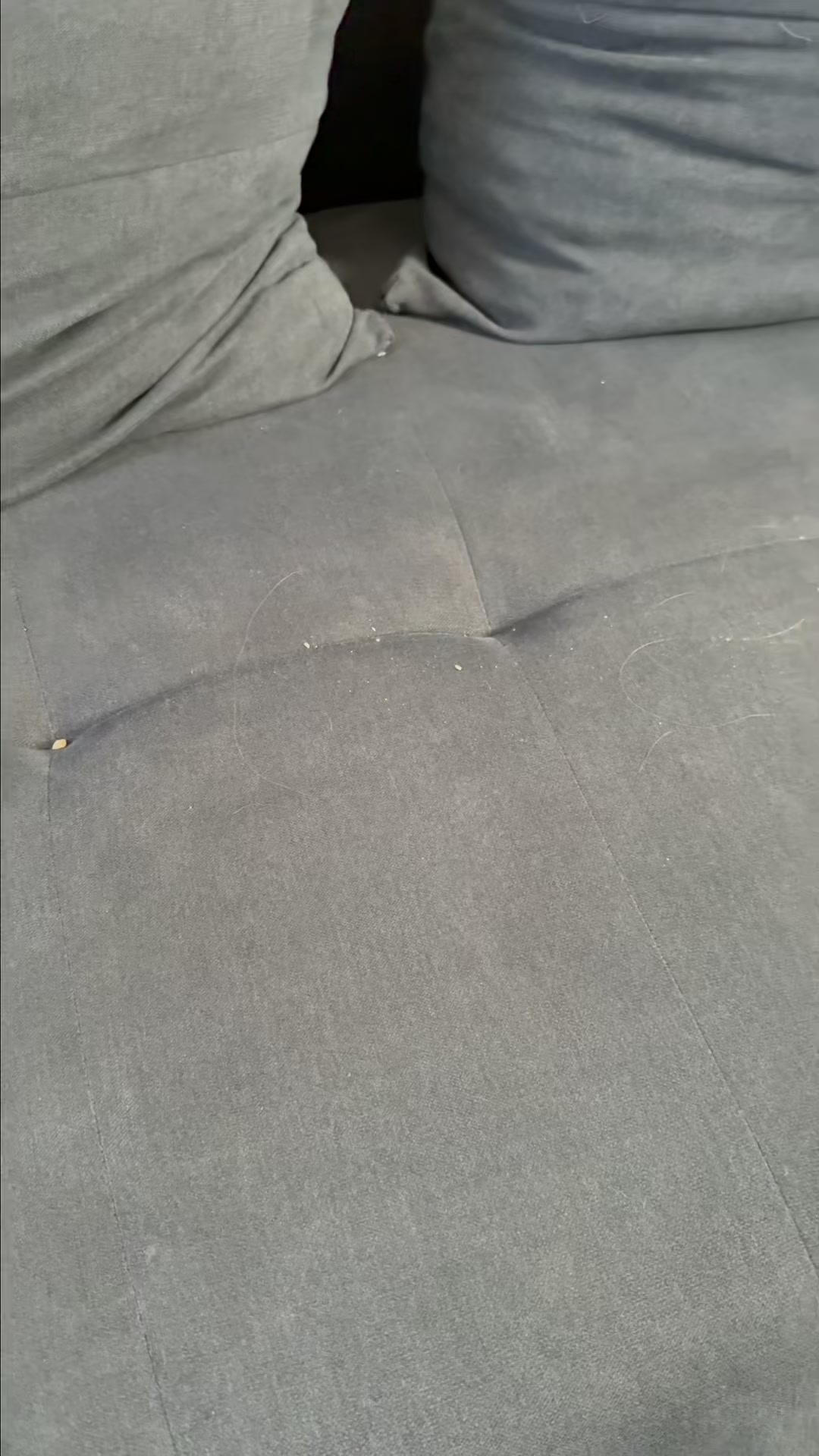 Schützt dein Sofa. Dein Haustier wird sie Lieben!