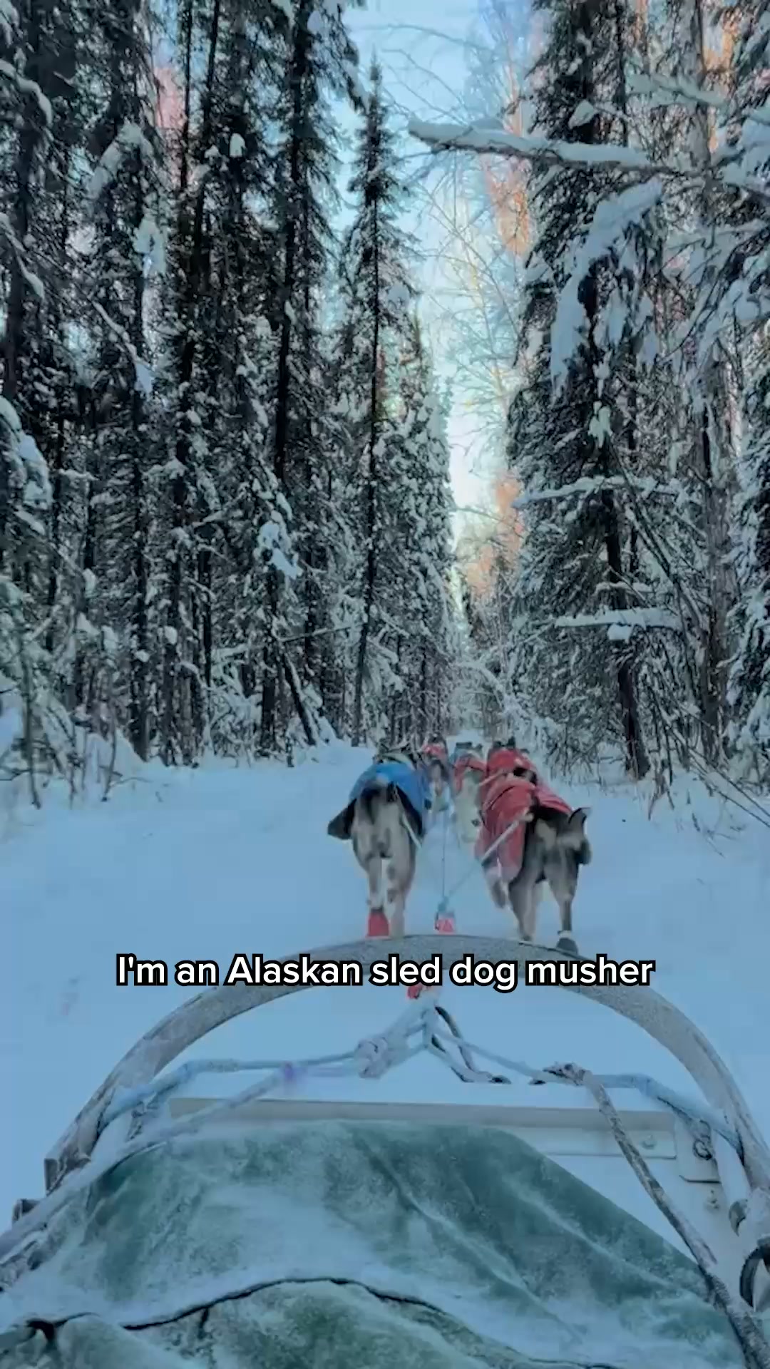 The Alaskan Sled Dog Secret..