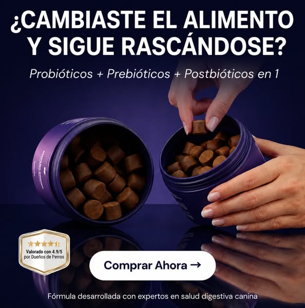 Apoya la digestión de tu perro