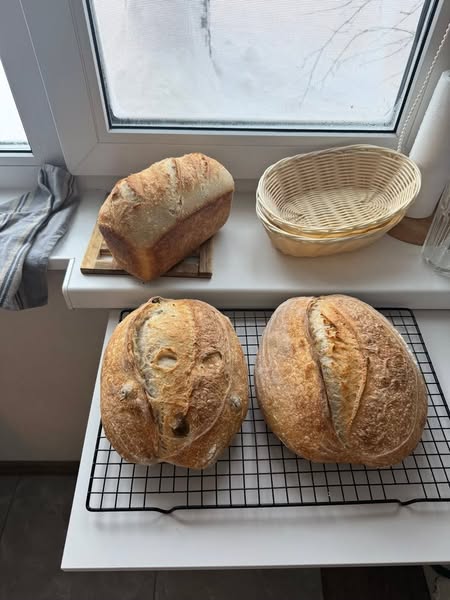 If your sourdough goes hard by Tuesday, read this.