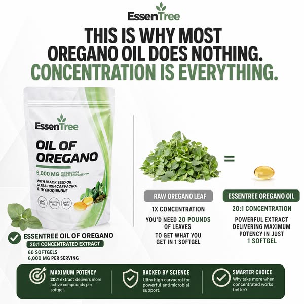 High-Potency Oregano Oil Formula Draws Attention for Its Concentrated Approach