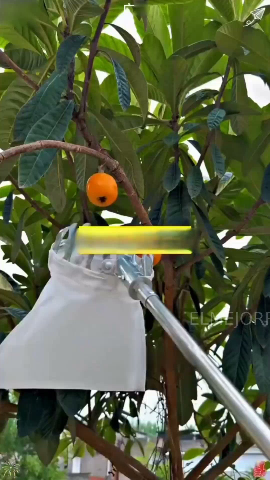 Anúncio de Tbestgoal