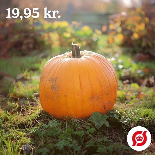 Græskar 'Jack O’Lantern'