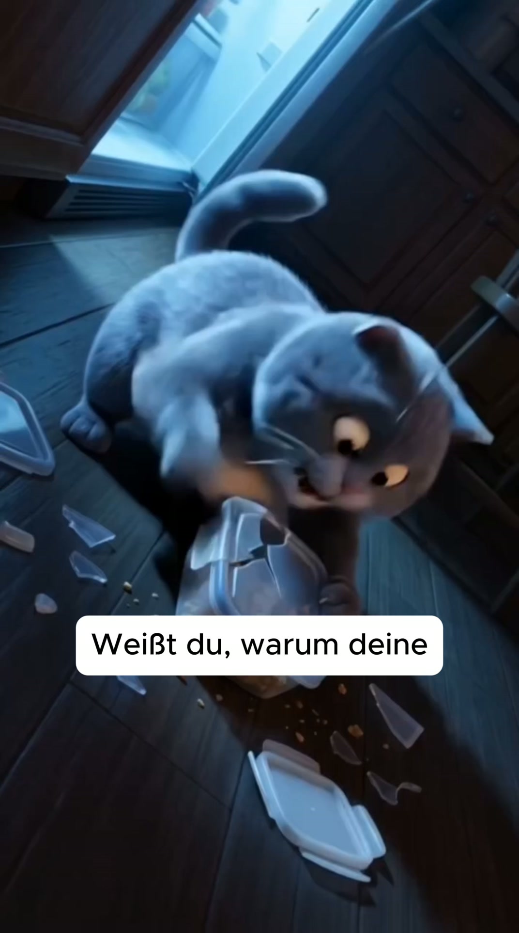 Gib deiner Katze die Pflege, die sie verdient