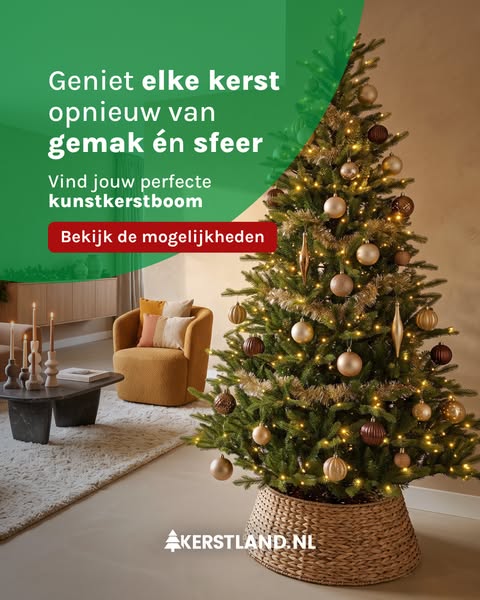 Altijd een boom die bij je past