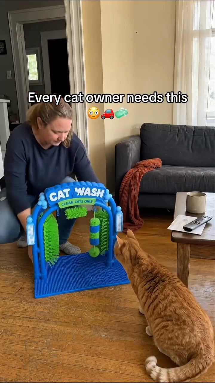 Fewer Hairy Surprises, Happier Cats!