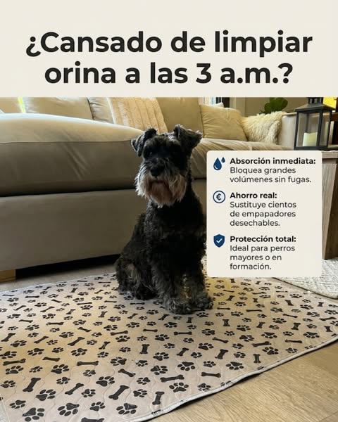 Otro día limpiando el mismo suelo.