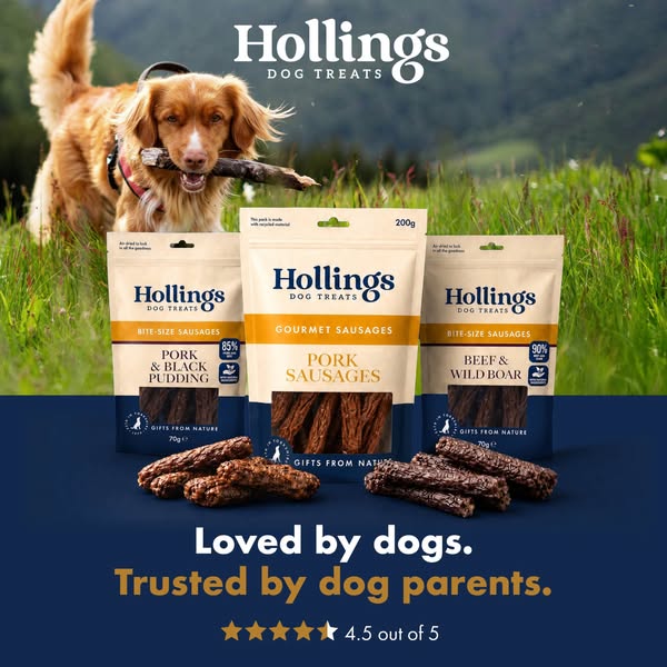 Air-Dried Dog Treats