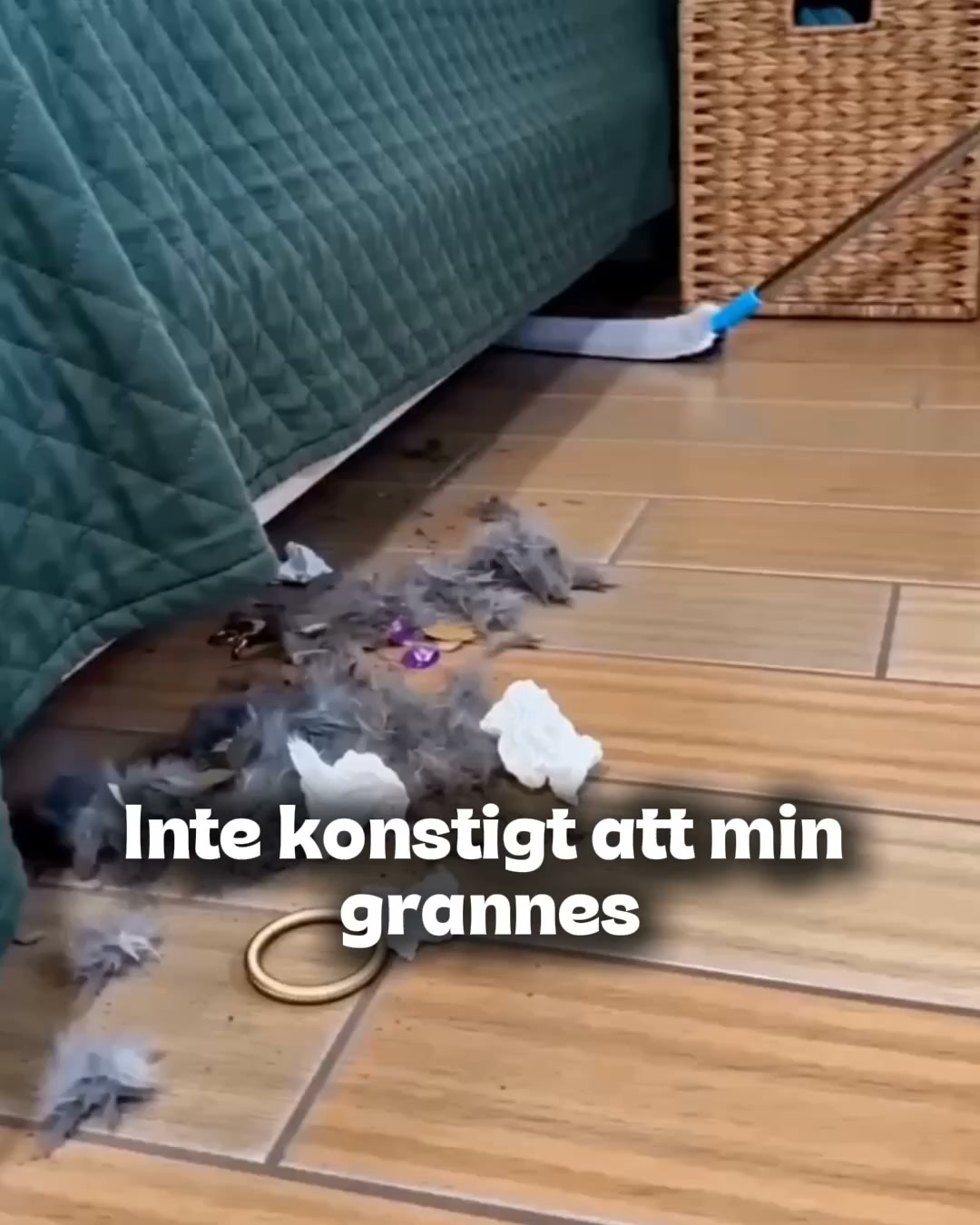 Upptäck varför tusentals väljer Nordsvep