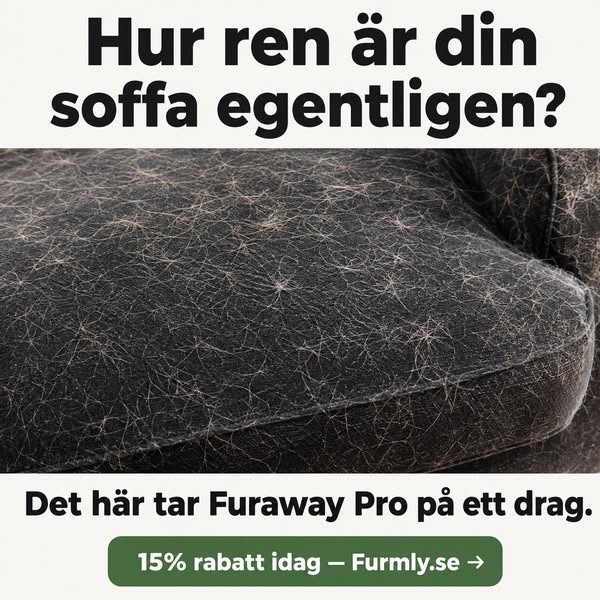 Aldrig mer katthår på allt