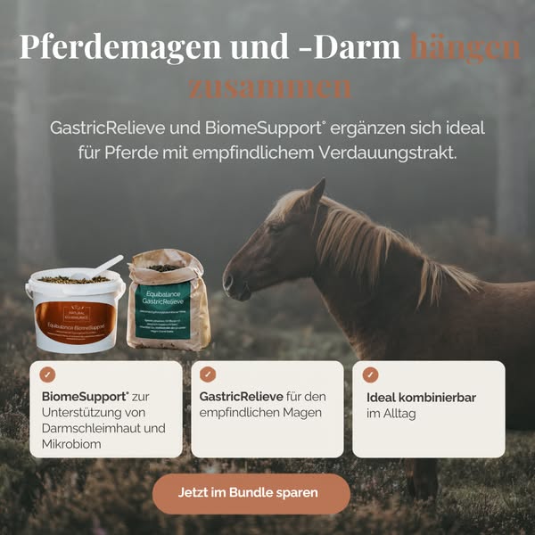 Jetzt den Unterschied entdecken
