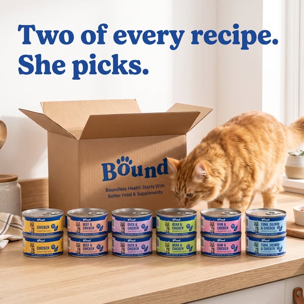 Only £7.99 for 12 Tins!