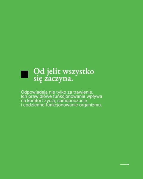 Strona główna