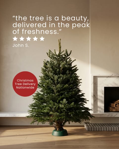 Real Christmas Trees Direct to Your Door