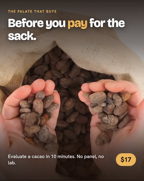 Evaluate a Cacao in 10 Minutes