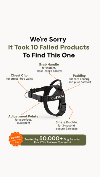 Free Bungee Lead & 20% Off Today