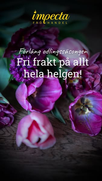 Fri frakt hela helgen