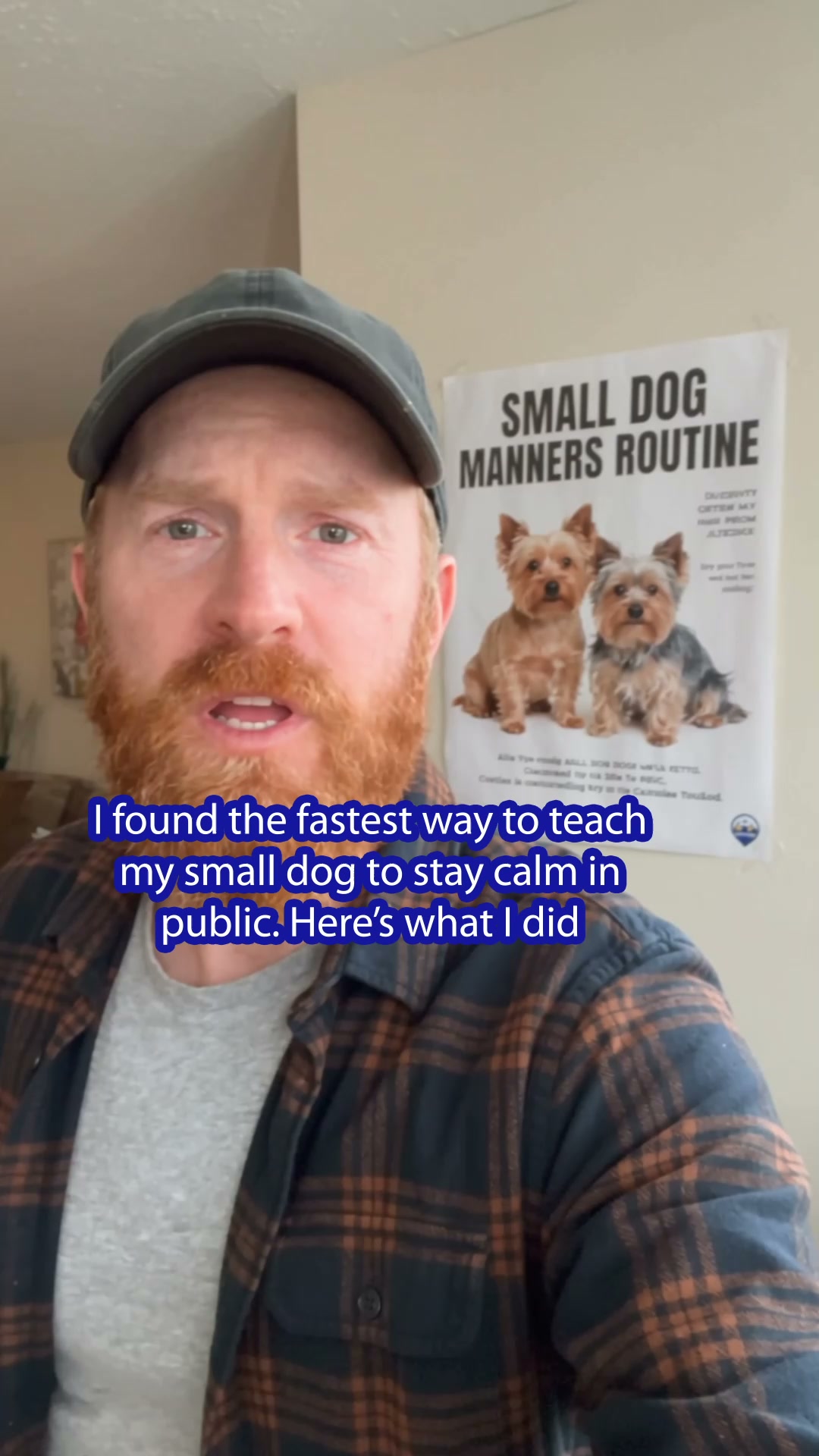 Start Small Dog Manners Routine ▶
