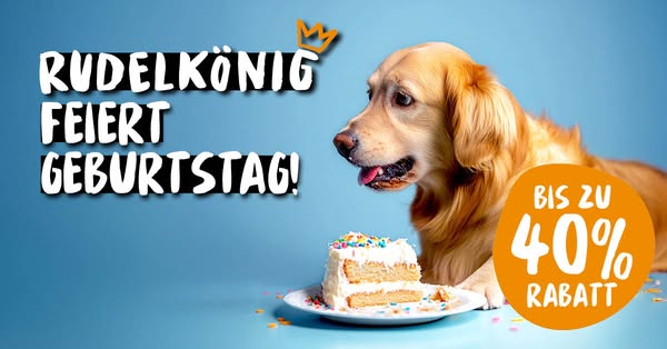 Bis zu 40% Rabatt im Birthday Sale!