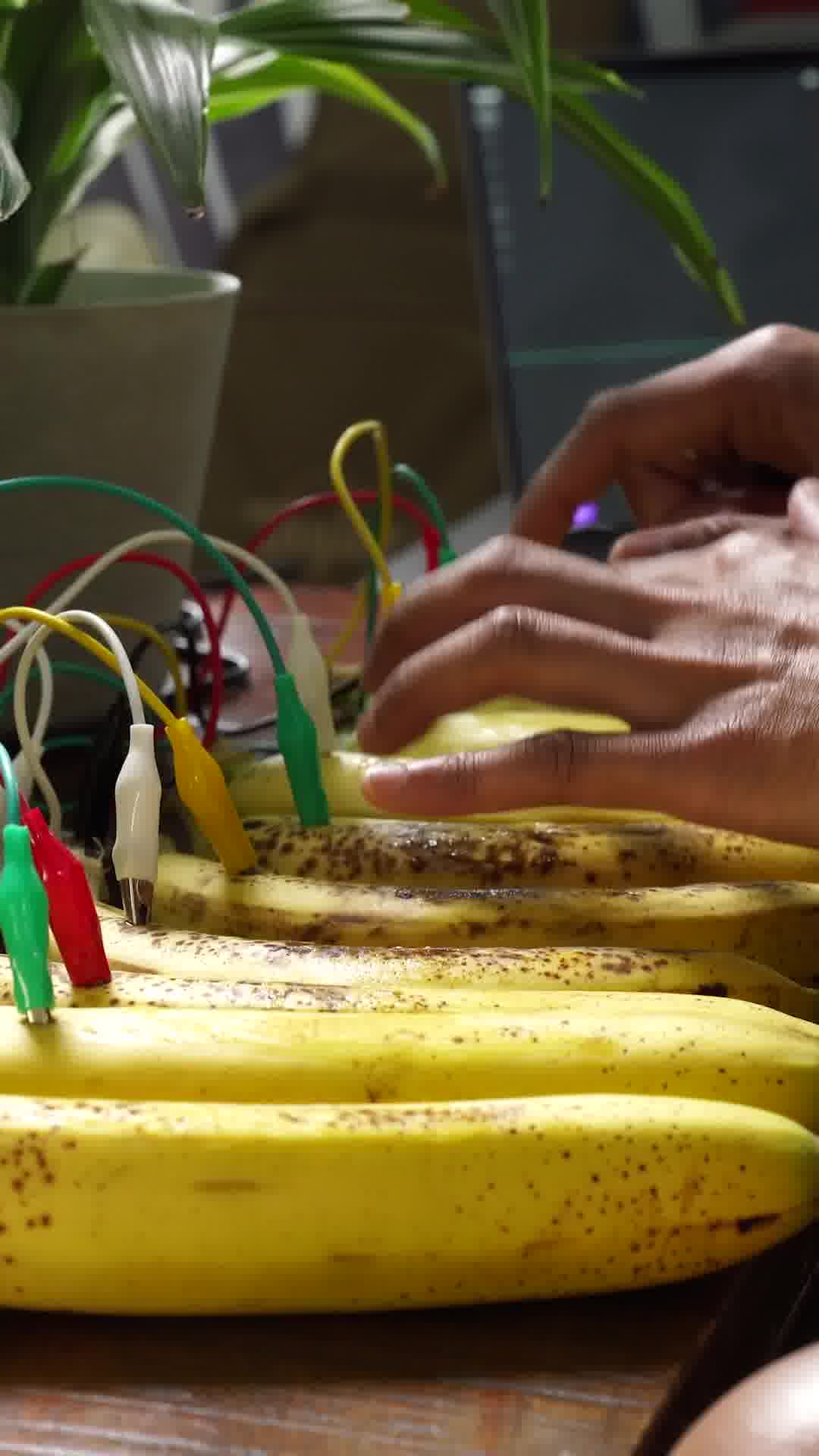 Anúncio de Playtronica