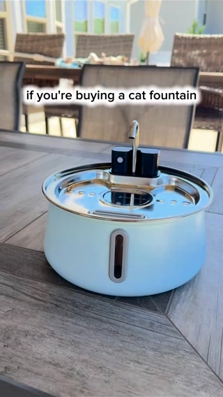 MEOWLLOWEEN SALE | 50% OFF + FREE GIFTS