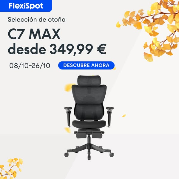 Descubre la colección