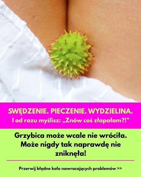 Grzyby może wcale nie wróciły. Może w ogóle nigdy nie odeszły.