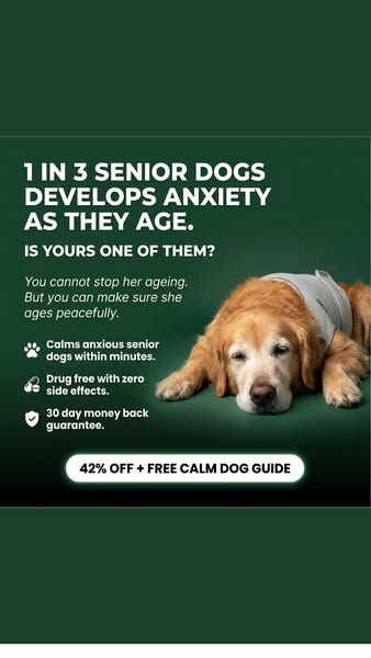 Give your senior citizen peace today