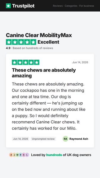 For the owner who has already tried everything