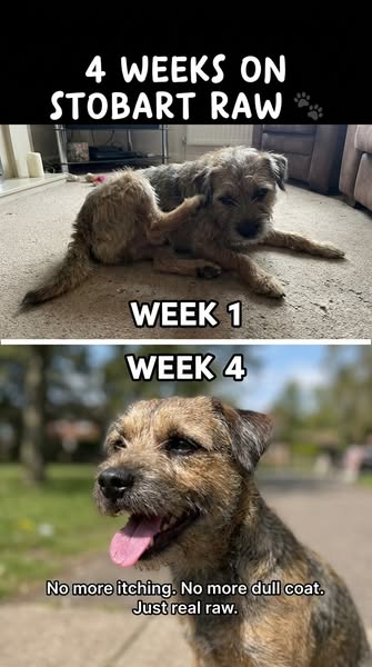 Week one to week four: proof exists