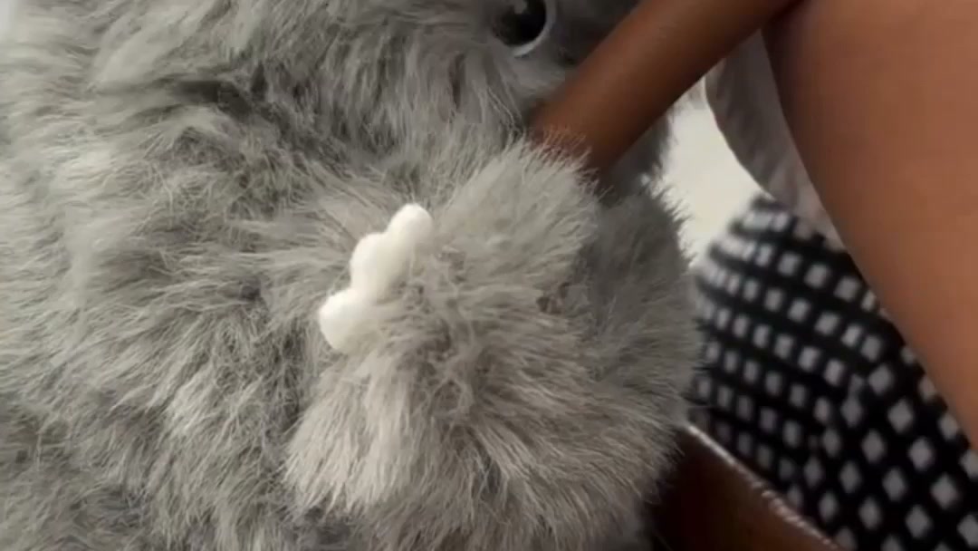 50% OFF Interactive Plush Toy