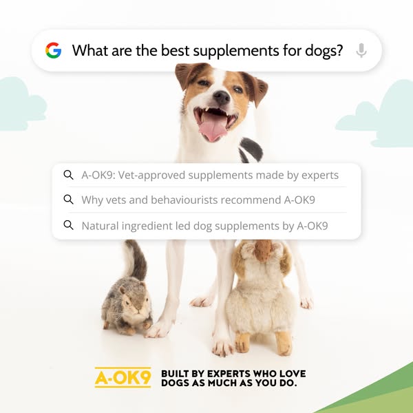 Dog wellness, made simple.