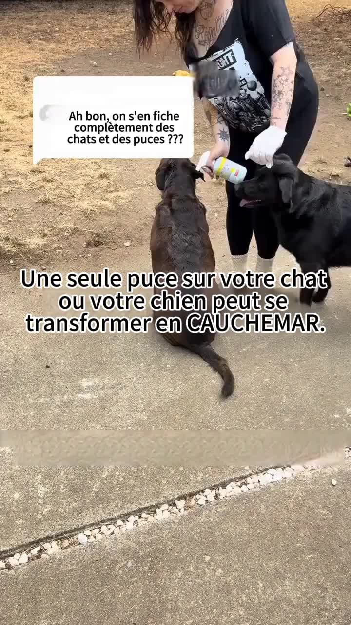 👉👉👉👉👉