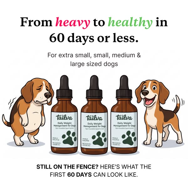 Read This Before You Buy Another Bag of Diet Food
