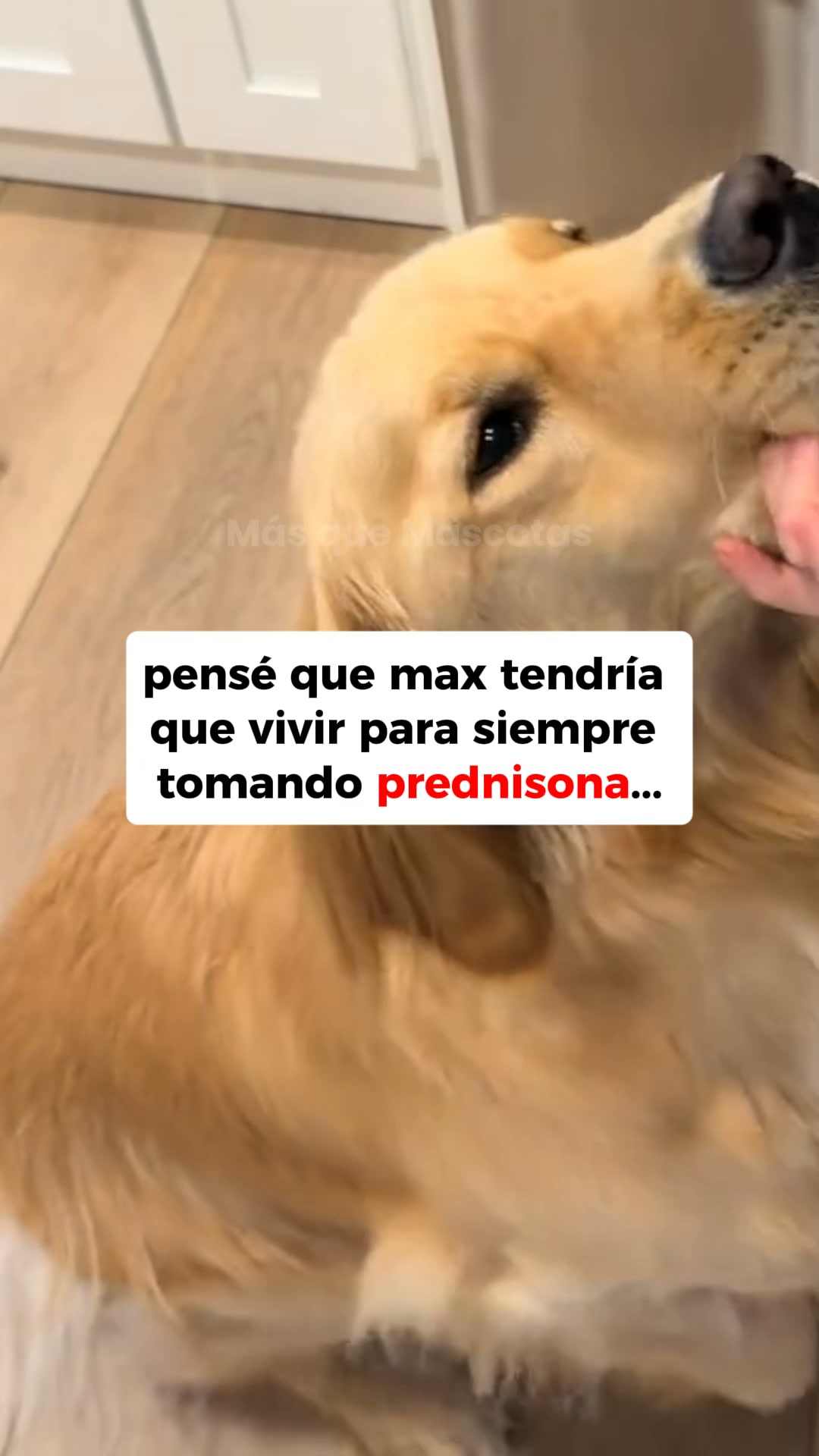 pensé que lo perdía