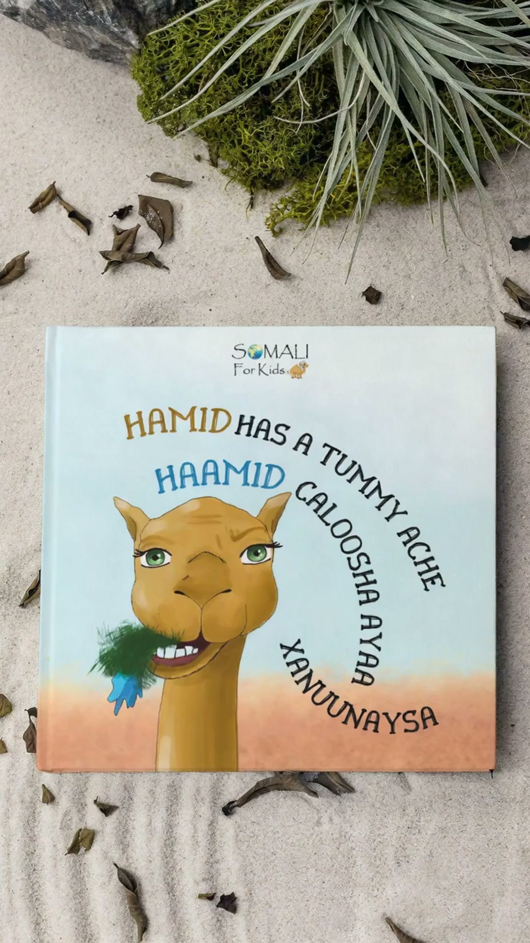 The Princess and the Pea – Bilingual Somali Book