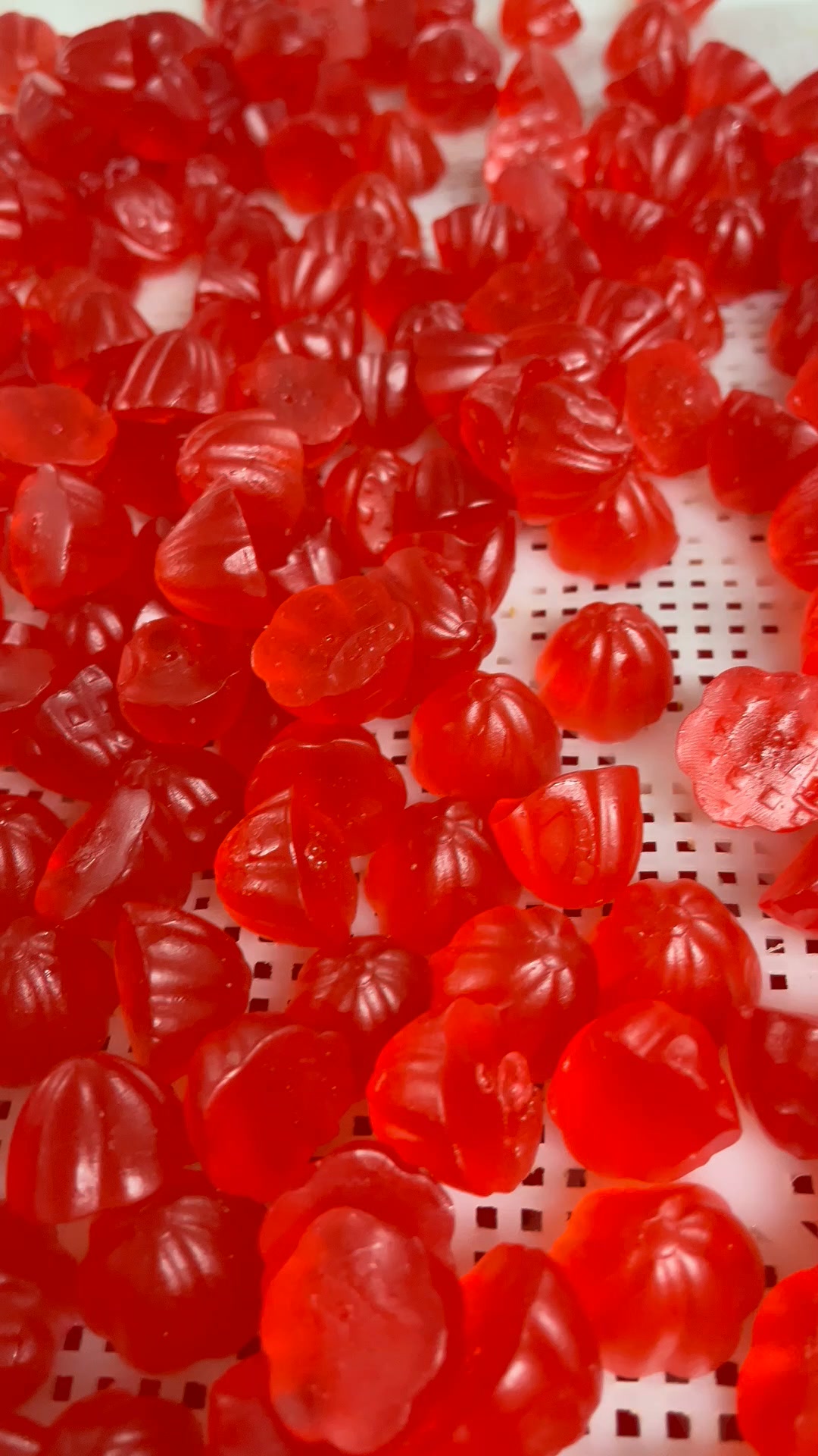 Tell Us Your Supplement Idea For Your Project Now