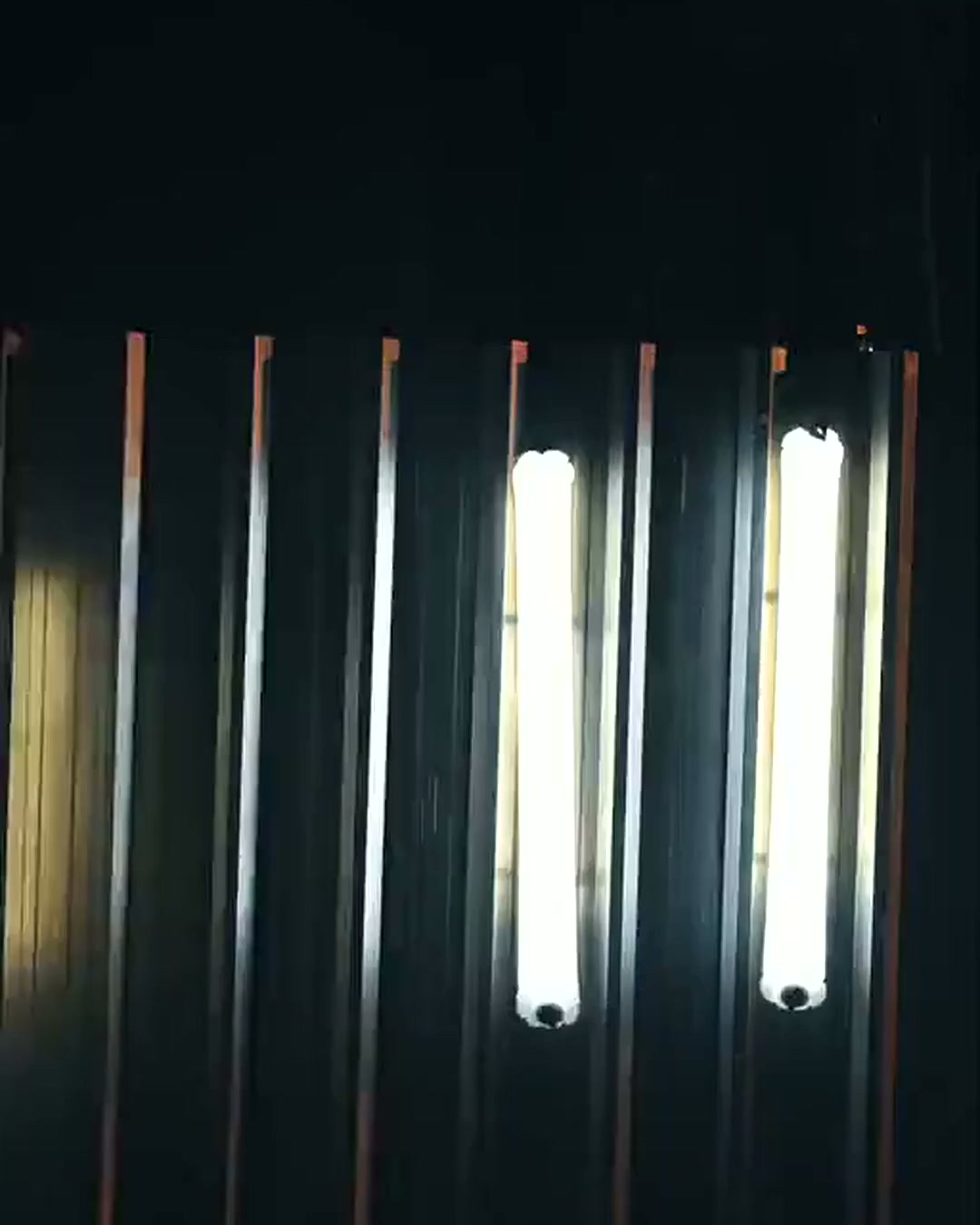 La luz que va contigo a cualquier sitio