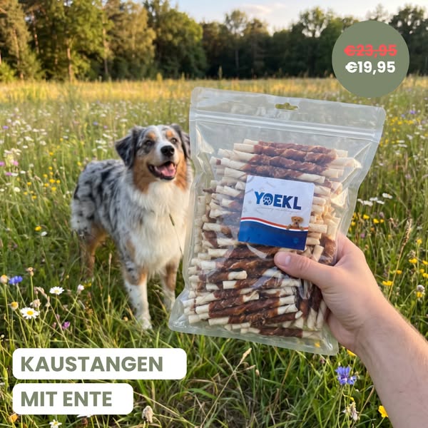 Kaustangen mit Ente – 100 Stück