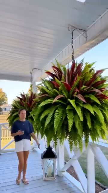 UV-Resistant Artificial Fern & Red Dracaena Decorative Plants