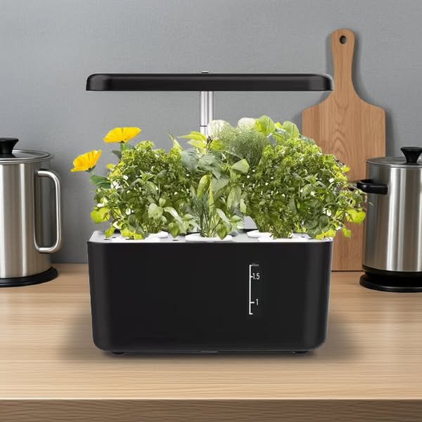 West Kent Hydroponics