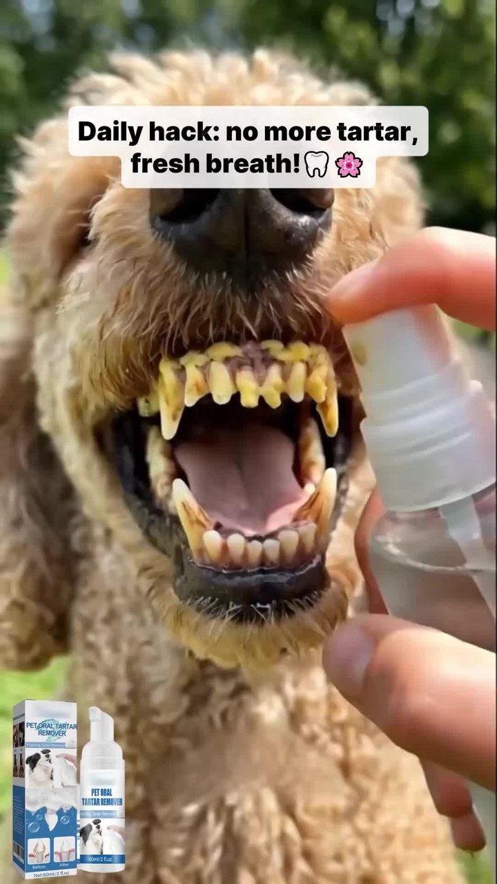 Pet Dental Tartar Care Spray