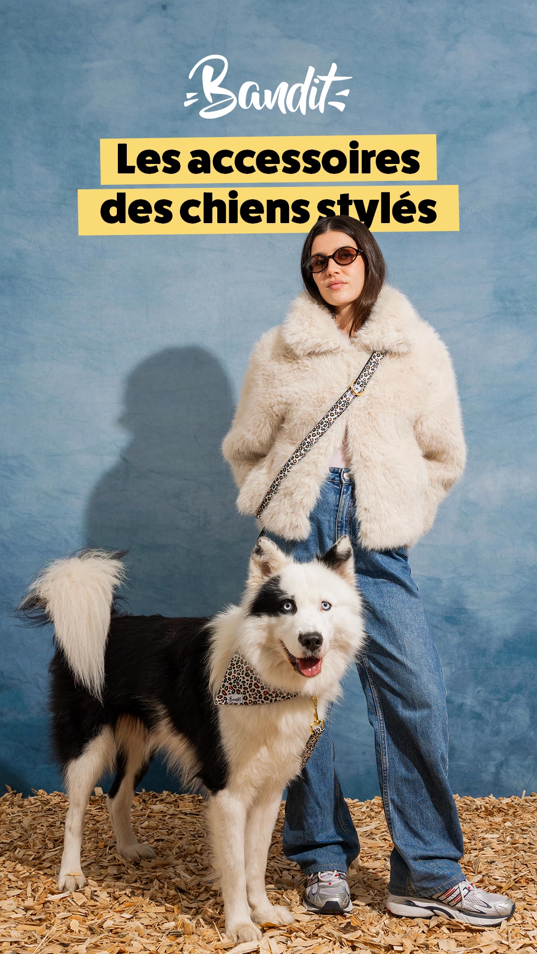 4,8/5 par plus de 5 300 chiens stylés