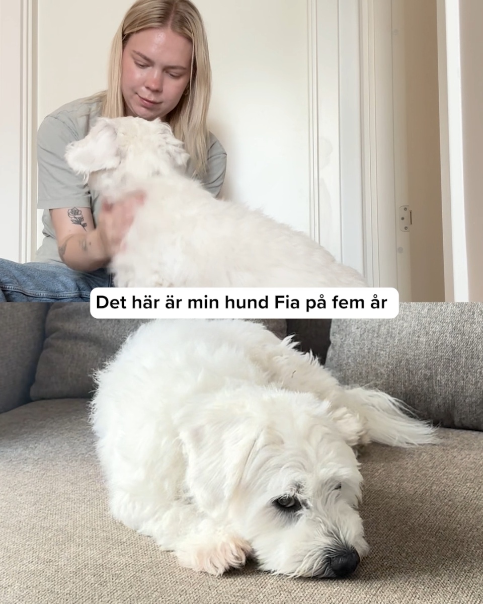 Inga mirakel. Bara 8 veckor
