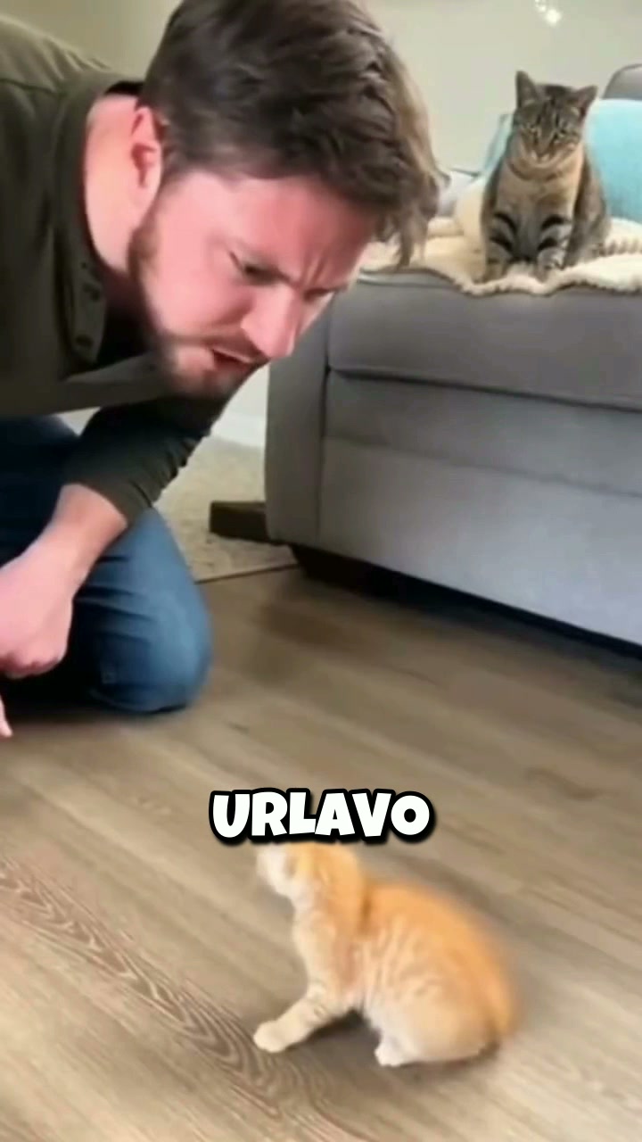 Oltre 2.500 pezzi venduti