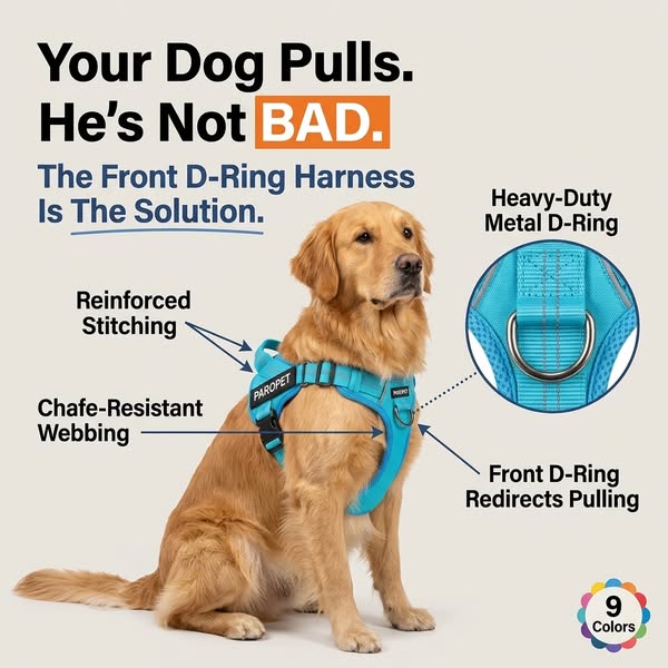 Dog Pulling? Dragging? Consider Them Handled.