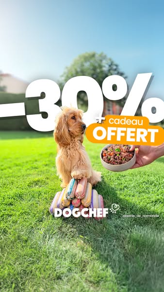 Offre limitée -30%