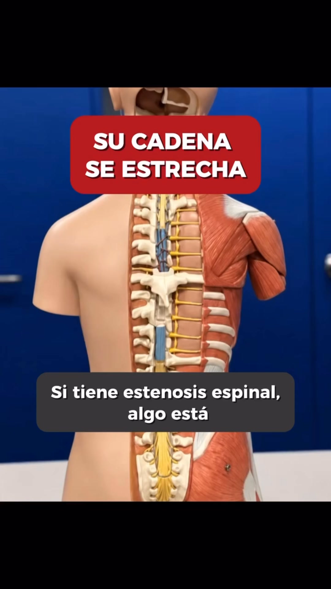 60% de descuento!