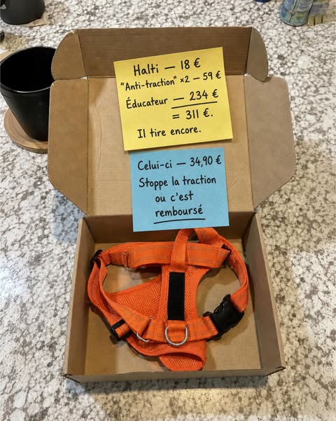 Harnais anti-traction pour chien Florelya