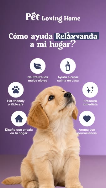 Hecho en España